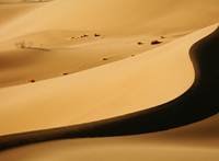 pic for brown sand 1920x1408